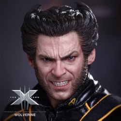 Wolverine Last stand X-Men ( Sixth Scale Figure by Hot Toys)