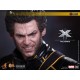 Wolverine ( Sixth Scale Figure by Hot Toys)