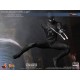 Spider-Man Black Suit Version ( Sixth Scale Figure by Hot Toys)