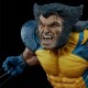 Wolverine Premium Format™ Figure by Sideshow Collectibles