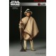 Luke Skywalker Episode IV - Exclusive (Sixth Scale Figure by Sideshow Collectibles)