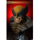 Wolverine (Life-Size Bust by Sideshow Collectibles)