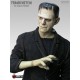 Frankenstein (Premium Format™ Figure by Sideshow Collectibles)