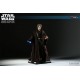 Anakin Skywalker (Premium Format™ Figure)