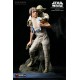 Luke & Yoda Dagobah Training Figure Set - Exclusive (Premium Format™ Figure)